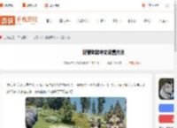 野狼谜踪怎么设置中文-野狼谜踪中文设置方法_游侠手游